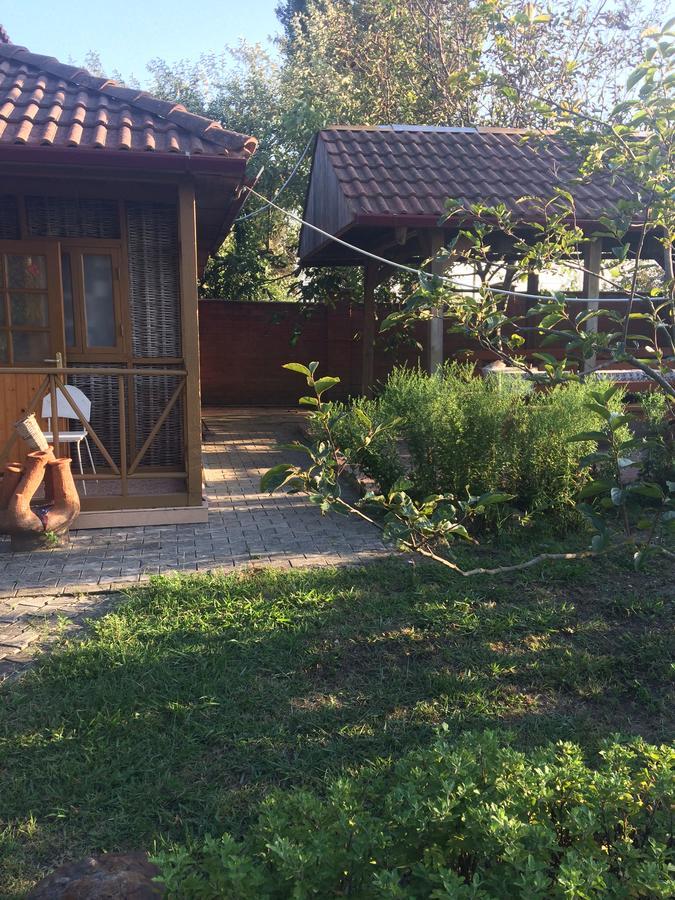 Гостевой Дом "Сария" Hotel Alakhadze Екстериор снимка
