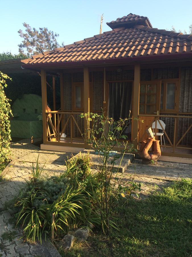 Гостевой Дом "Сария" Hotel Alakhadze Екстериор снимка