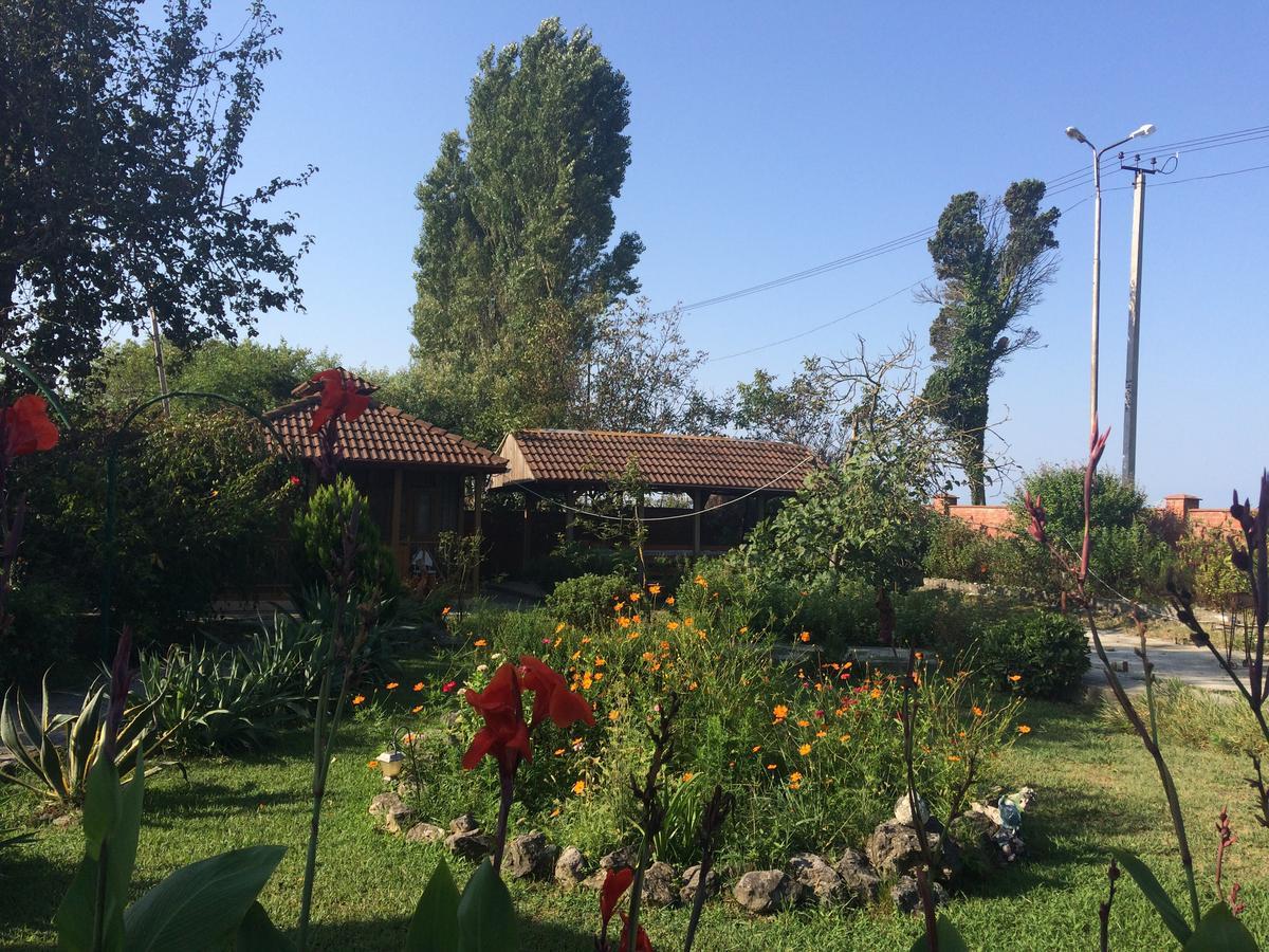 Гостевой Дом "Сария" Hotel Alakhadze Екстериор снимка