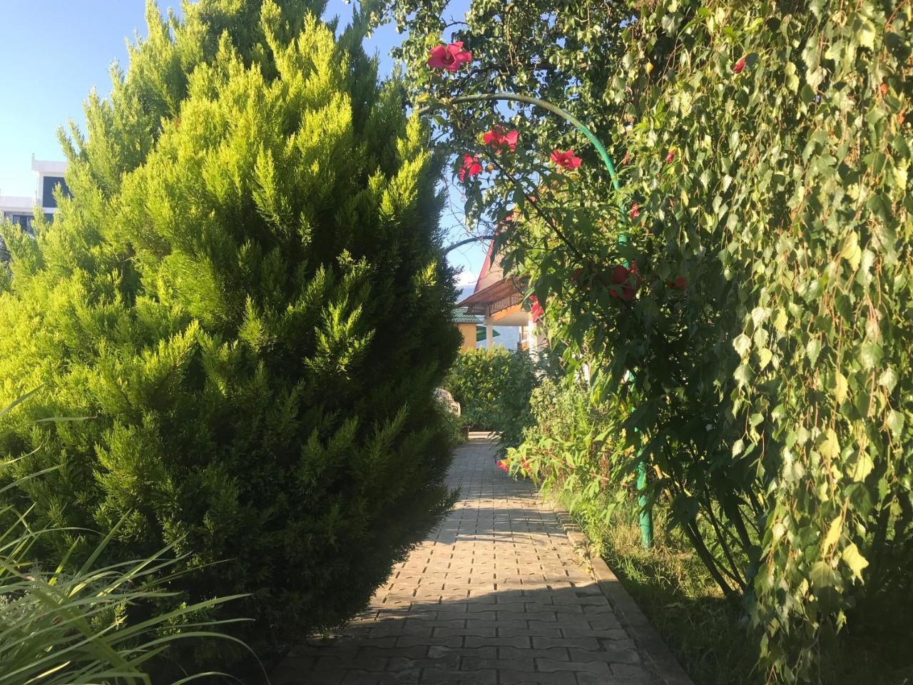 Гостевой Дом "Сария" Hotel Alakhadze Екстериор снимка